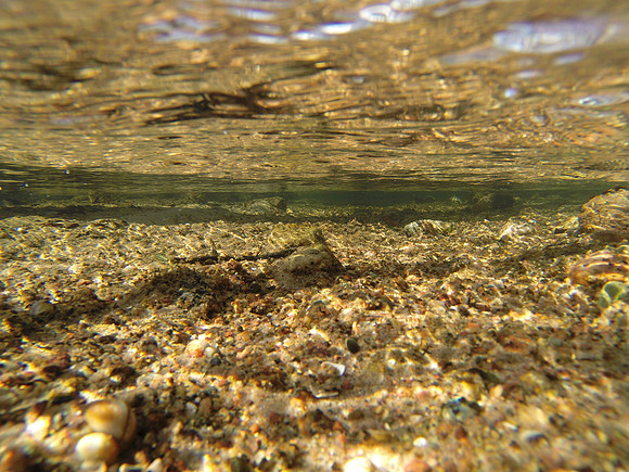 Shallow Stream