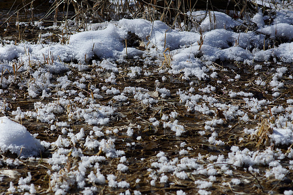 Hoarfrost Above Water