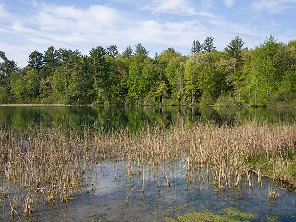 Marl Lake