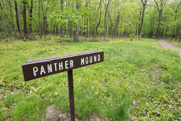 Pather Indian Mound