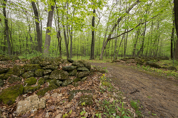 Stone wall Trail