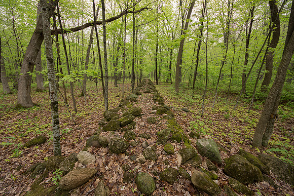 Stone wall Top