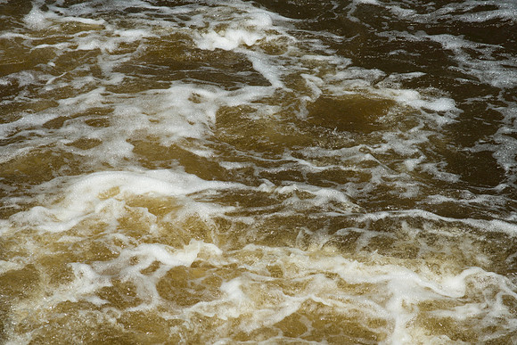 Brown Rapids