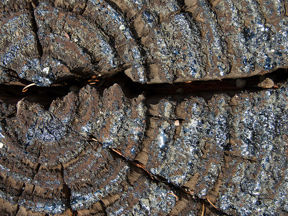 Creosote Post End