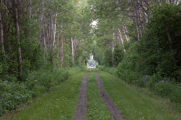 Dirt road track