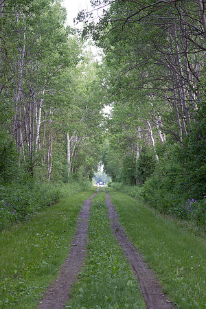 Dirt road track