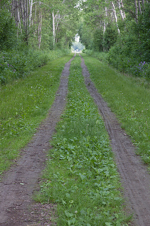 Dirt road track