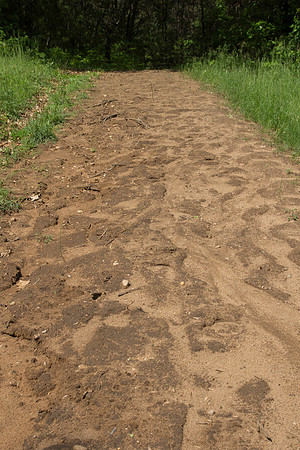 Eroding Hiking Trail