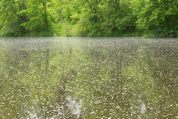 Foam Spot Water