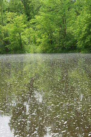 Foam Spot Water