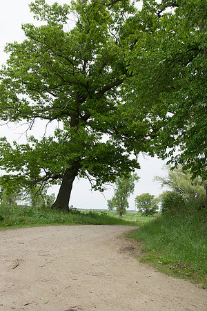 Gravel Lane