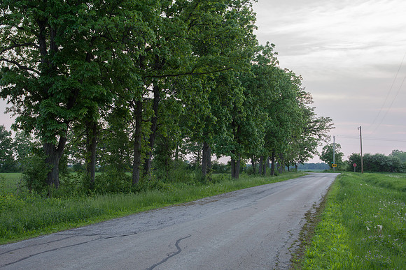 Hickory Road
