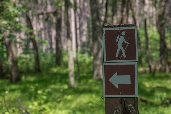 Hiking Trail Sign Arrow
