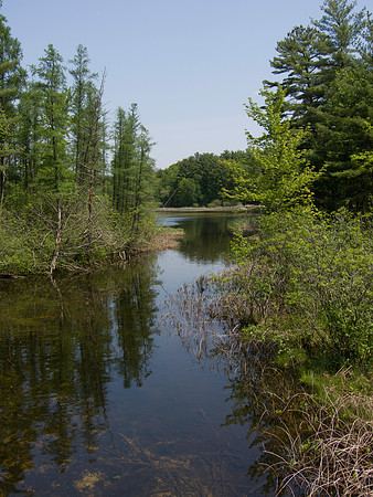 Channel View