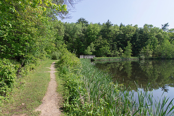Lake Hiking Trail