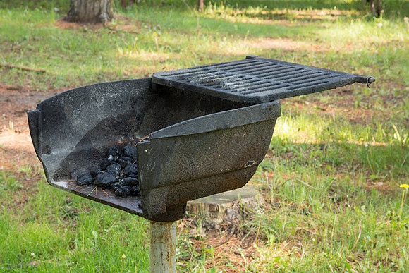 Picnic Grill