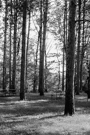 Picnic Spot