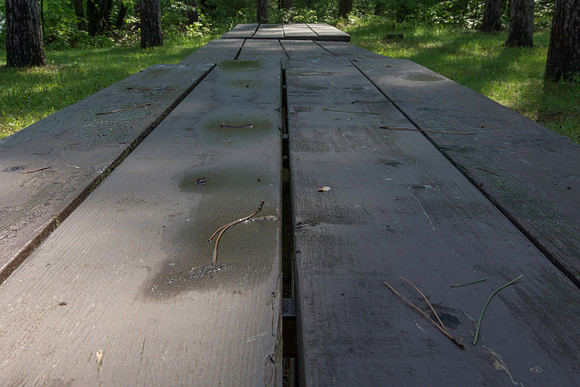 Picnic table top