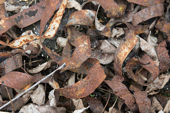 Rusted Iron straps