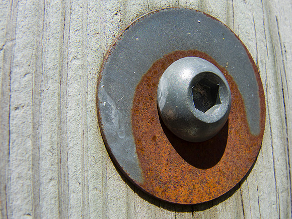 Rusty Washer and Bolt