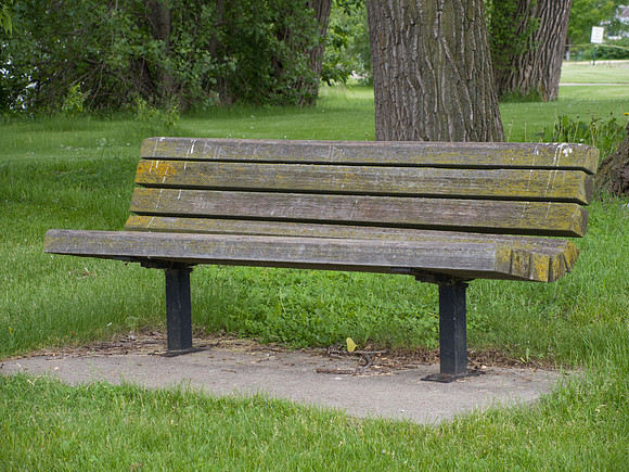 Wood Park Bench