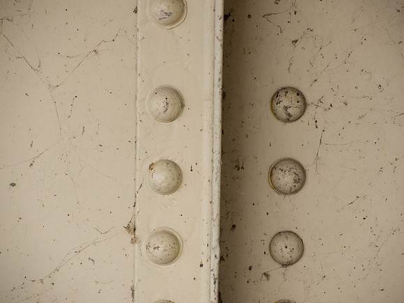 Painted rivets