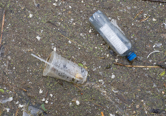 Garbage in the River