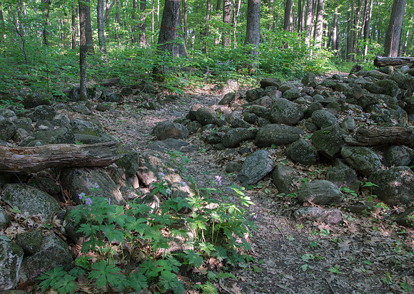 Stone Fence trail