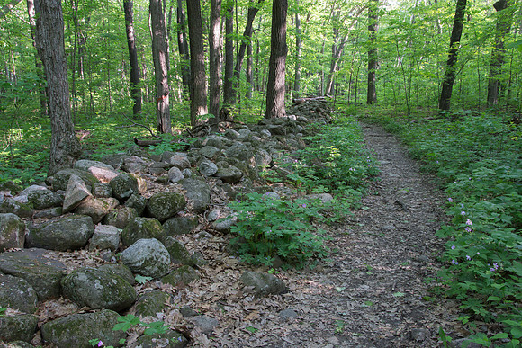 Stone Fence trail