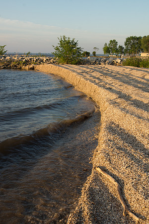 Zebra Mussel Shell Shore Waves