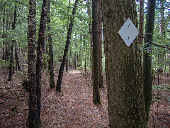 Hiking Trail Marker