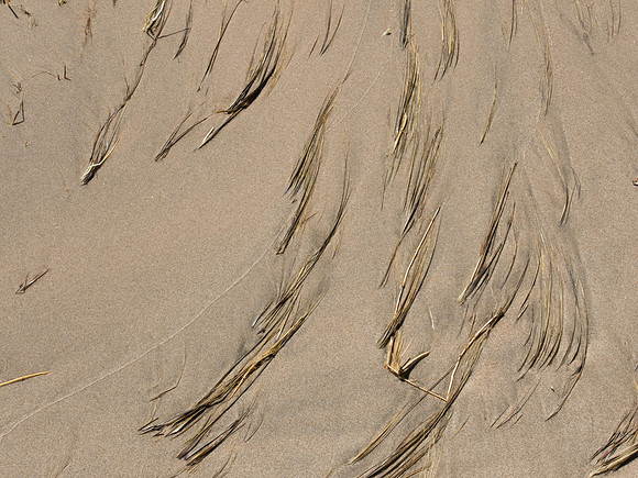 Wave Wash Patterns