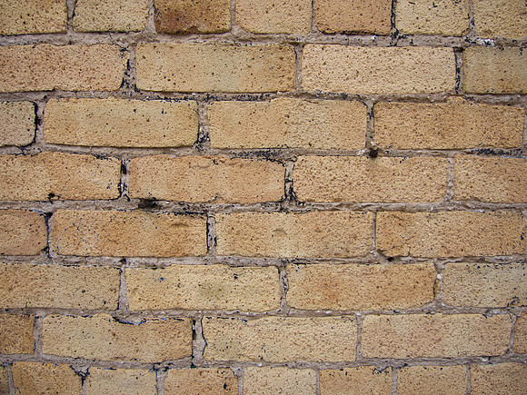 Old Brick Wall