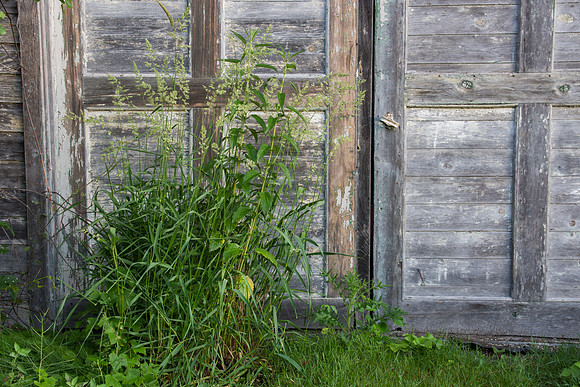 Old Barn Doors