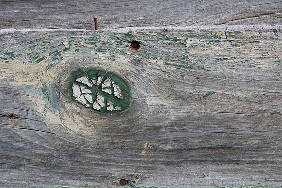 Wood Knot