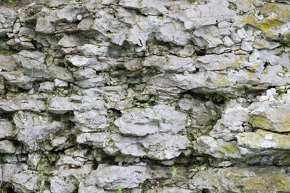 Dolomite Cracks