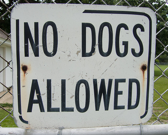 No Dogs Allowed Sign