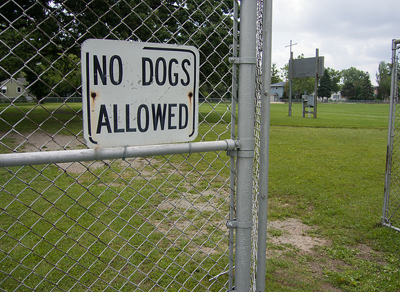 No Dogs Allowed