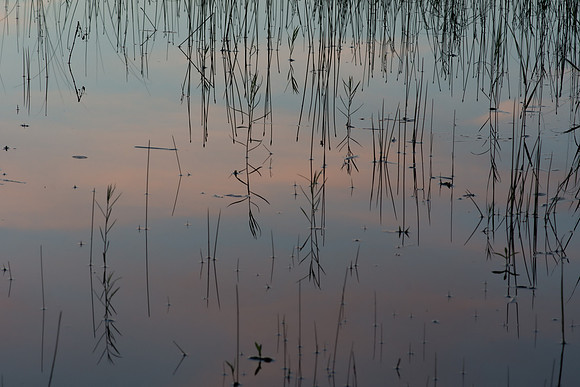 Lake Dusk Reflection