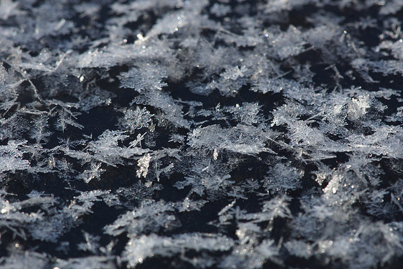 Frost on Car Hood