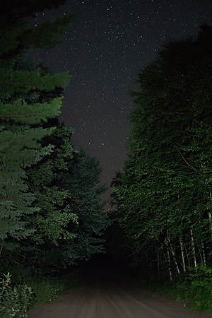 Forest Road Night Sky