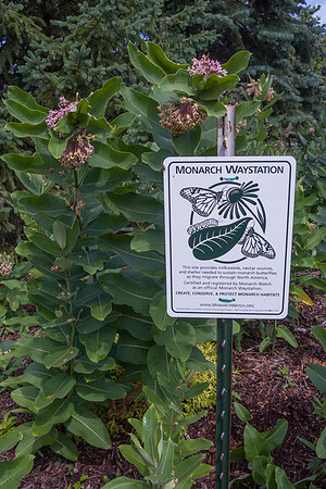 Monarch Waystation Sign