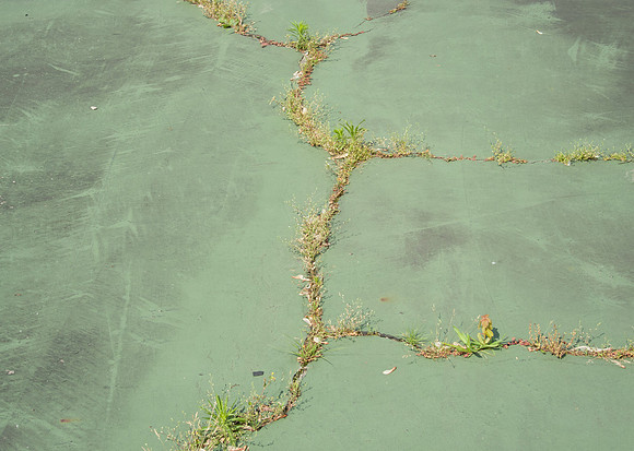Cracks in Tennis Court
