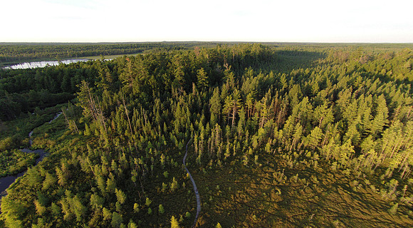 Forest Lake Peak