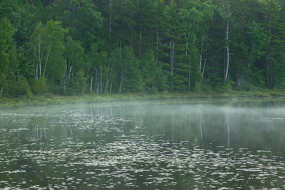Misty Lake