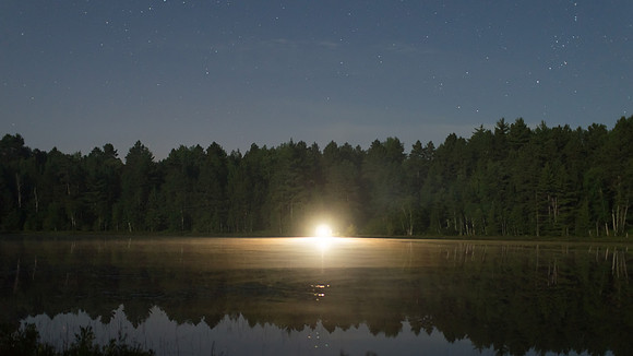 Night Light