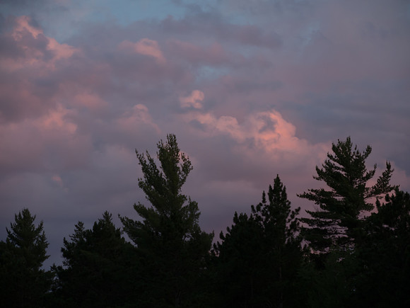 Pink Clouds