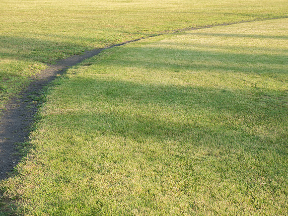 Shadow Lawn Track