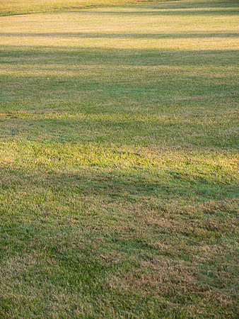 Shadows Lawn