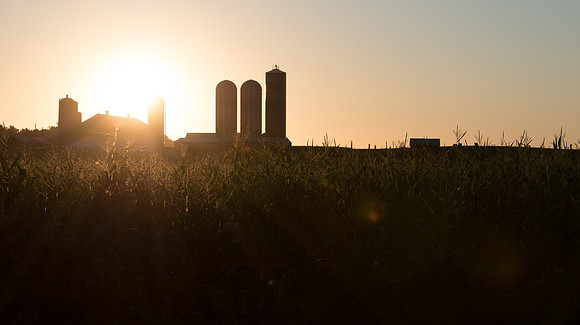 Corn Farm Barn and Sunrise
